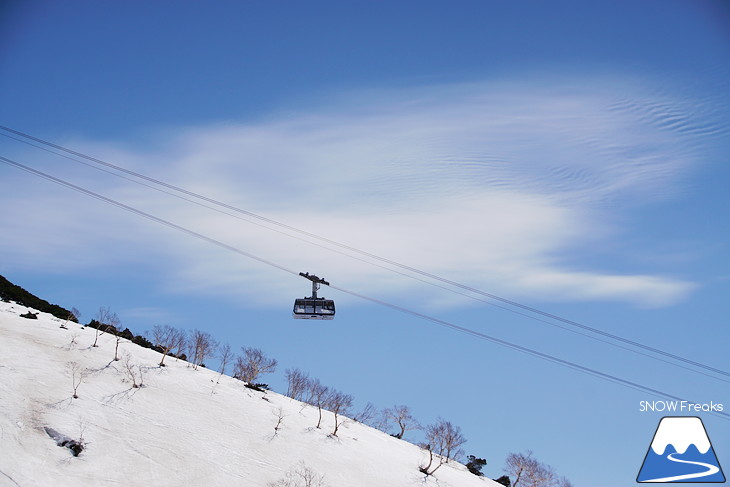 大雪山旭岳ロープウェイスキー場 残雪の北海道最高峰に今季最後のシュプールを…。